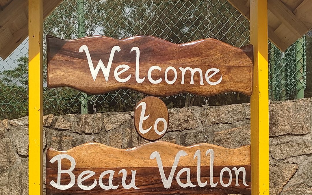 Our New School Sign: First Impressions