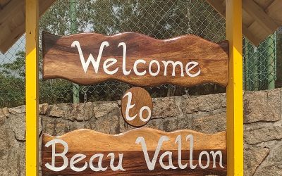 Our New School Sign: First Impressions